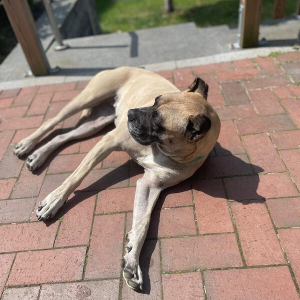 k-chika (1) k-chika (1)