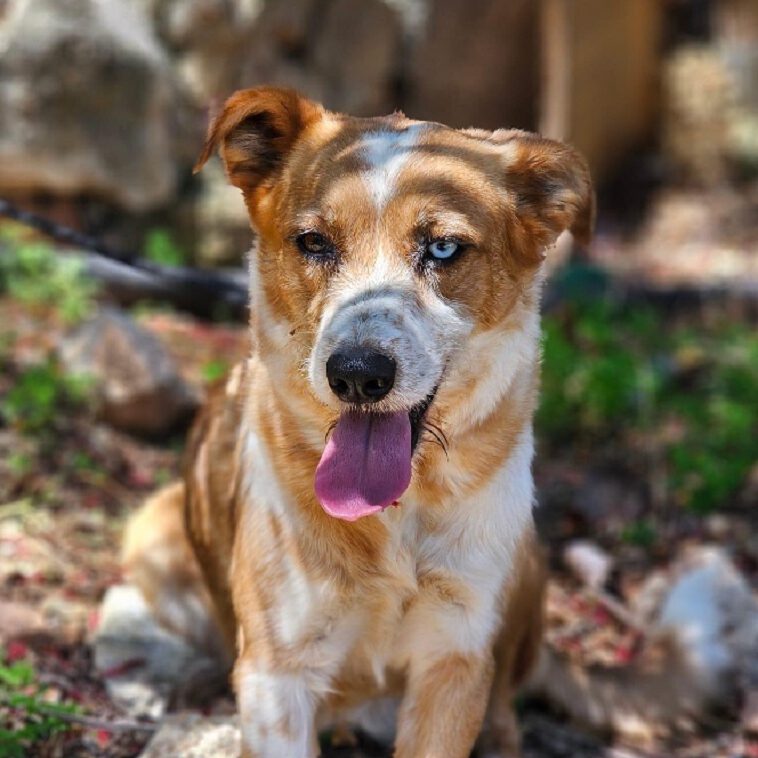 k-sarah (9) k-sarah (9)