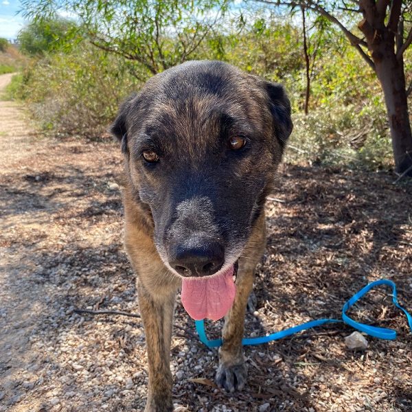 k-tila (6) k-tila (6)