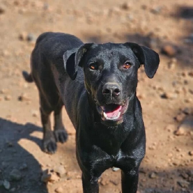 k-tilly (3)1 k-tilly (3)1