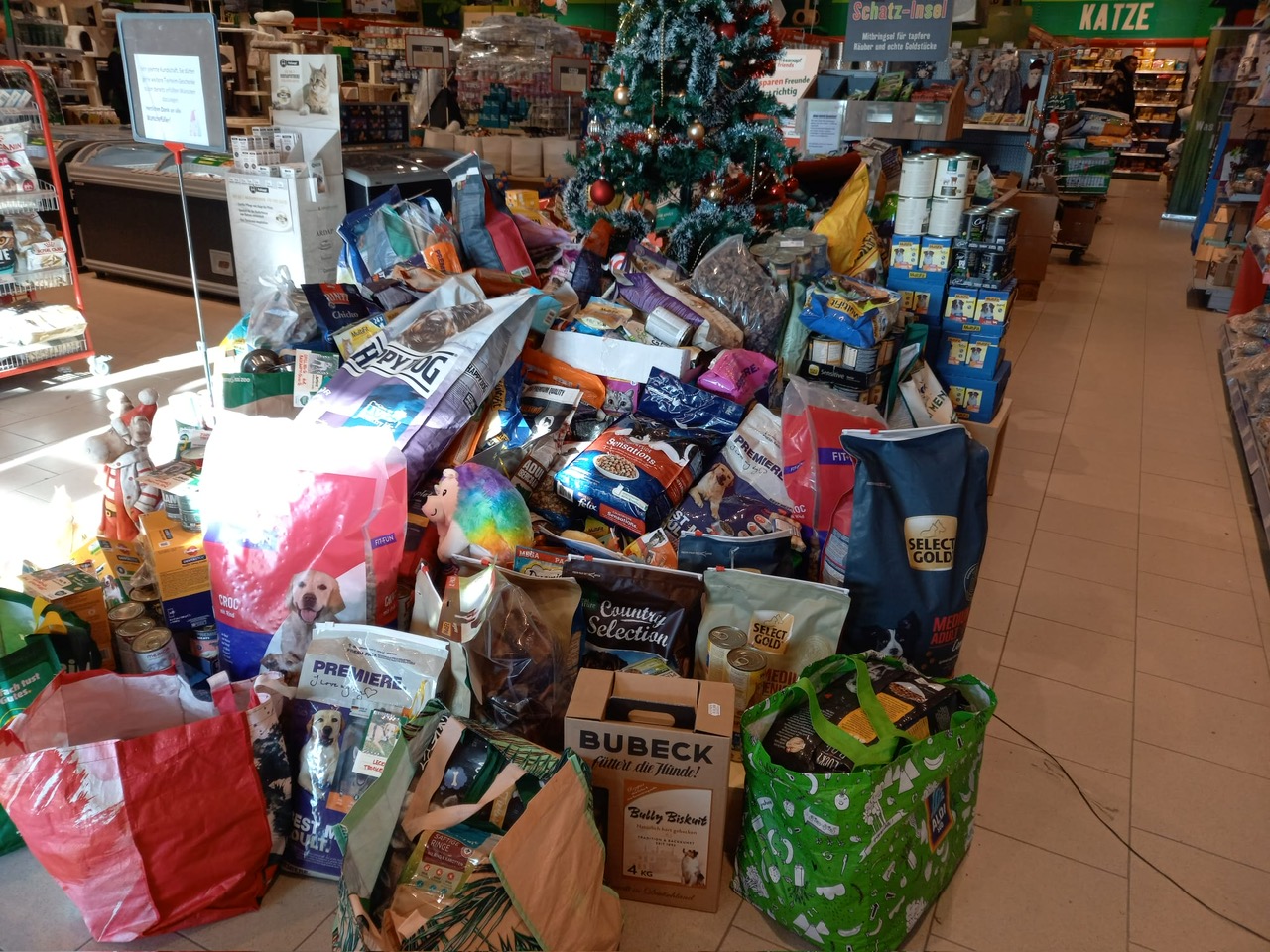 PHOTO-2025-01-02-11-45-59