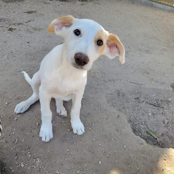 k-cari (3) k-cari (3)