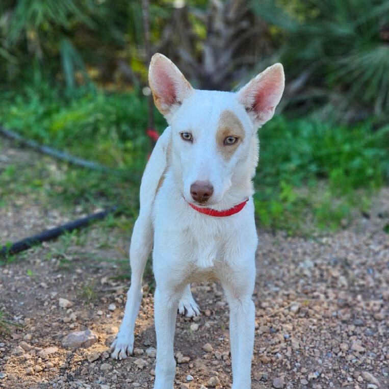 k-jerry (9) k-jerry (9)