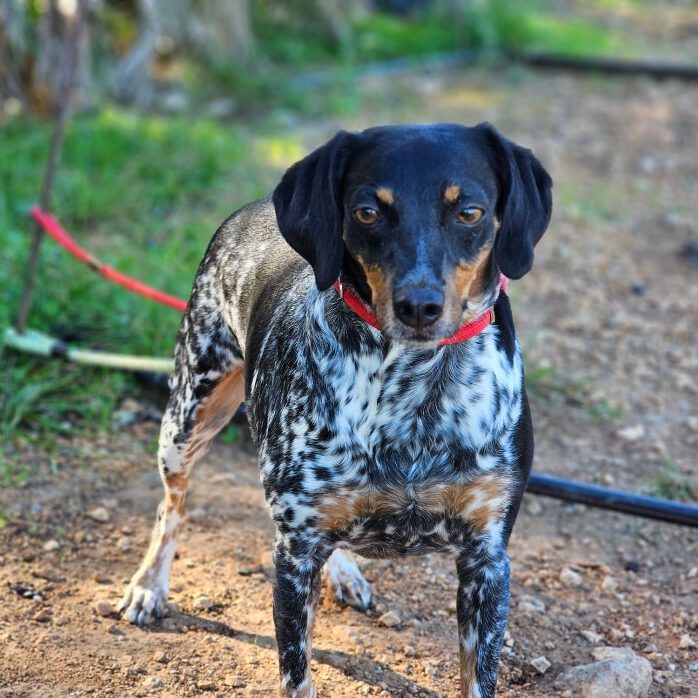 k-sancha (4) k-sancha (4)