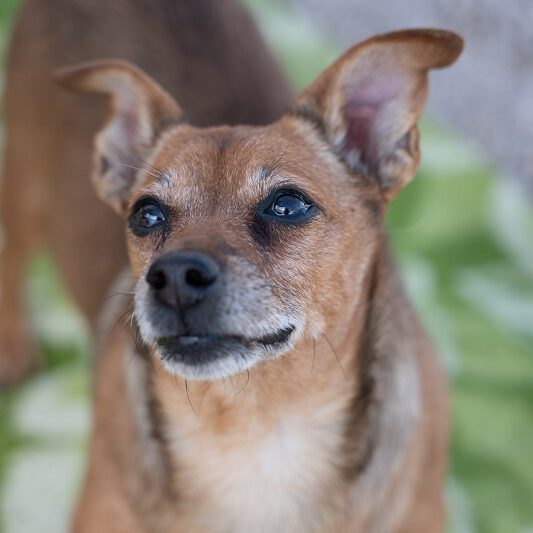 k-aaron (9) k-aaron (9)