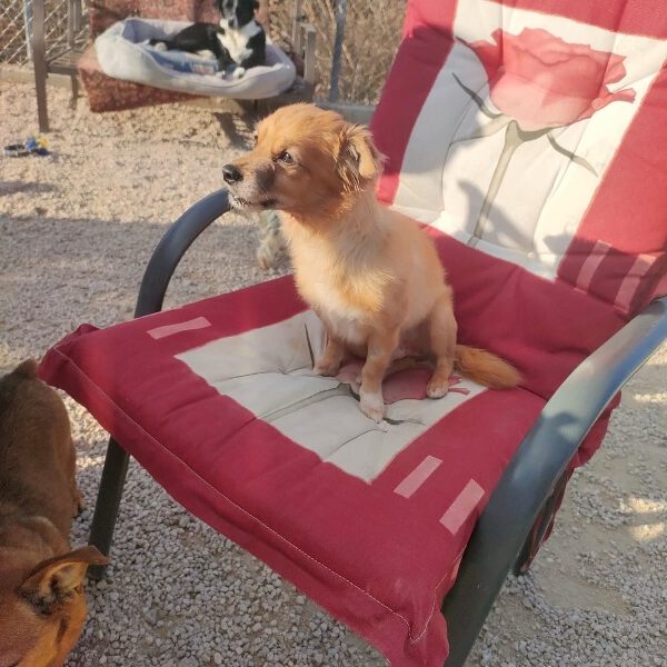 k-rocky (4) k-rocky (4)