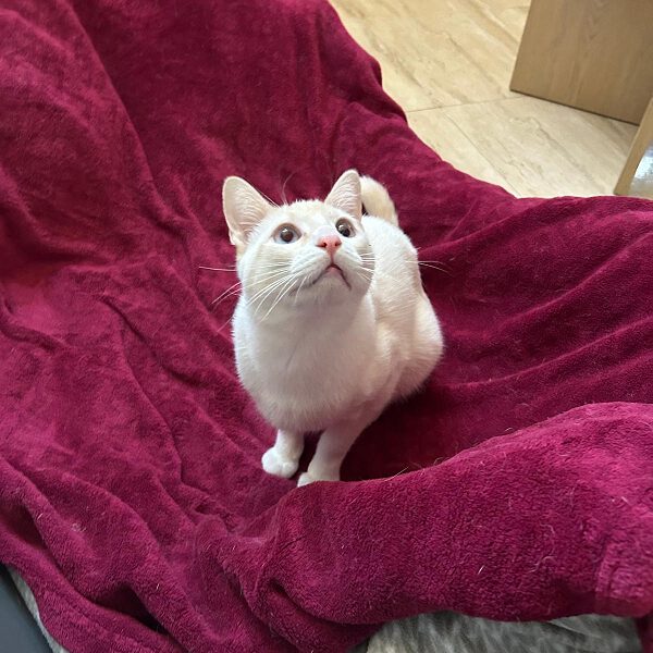 k-02_Paulchen (3) k-02_Paulchen (3)