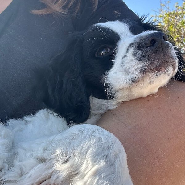 k-betty (8) k-betty (8)