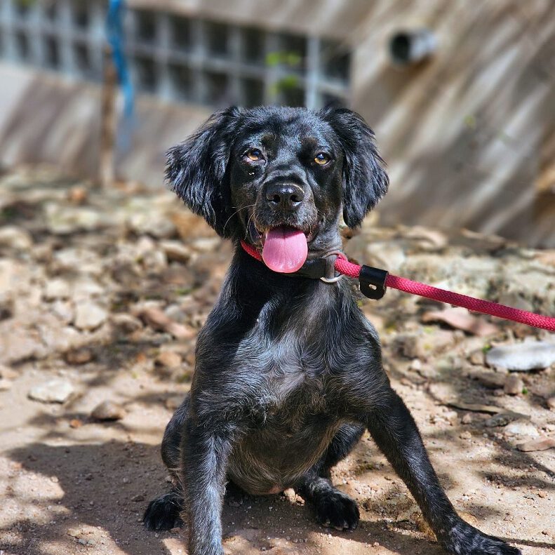 k-winja (4) k-winja (4)